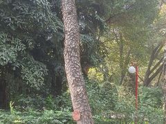 -烈士陵园(地铁站)