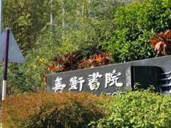 -大埔公路-马料水段香港中文大学(公交站)