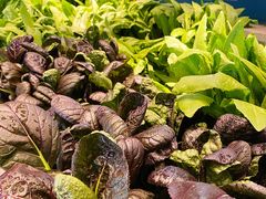 -呷湘厨·鱼汤捞饭·剁椒鱼头·辣椒炒肉(国家会展中心店)