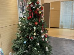 -瑞尔齿科(上海长风大悦城店)