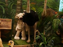 -济州岛泰迪熊博物馆