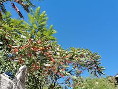 -云峰山自然风景区