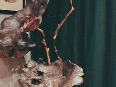 -隐食私房菜(渡口·光荣院南门·老街店)