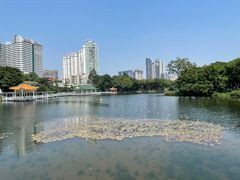 -荔湾湖公园