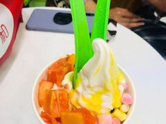冻酸奶-Salud撒露欧洲冻酸奶(五道口购物中心店)