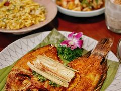 -紫滇源云南生态菜(丹凤街店)