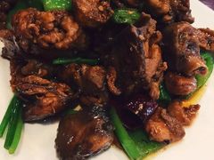 -鸢飞潍坊菜馆(鸢飞大酒店)