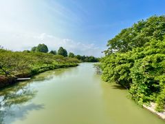 -上海海湾国家森林公园