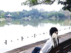 -江心屿景区