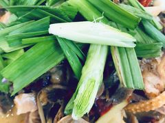 腊鹅汤锅-老信阳菜馆(天通苑店)
