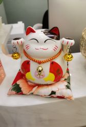 -苗方清颜·祛痘皮肤管理