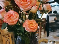 -萨尔瓦多Salvador's