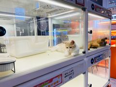 -博纳国际影城(皇庭店)