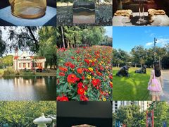 -上海共青森林公园