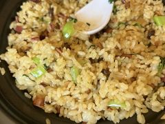 -野菌王•养生汤锅•野生菌火锅(大理漾濞路店)