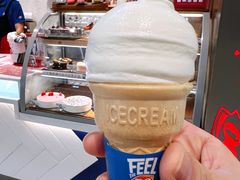 单球香草甜筒-DQ·蛋糕·冰淇淋(龙湖狮山天街店)