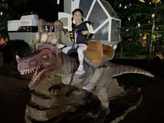 -郑州方特梦幻王国