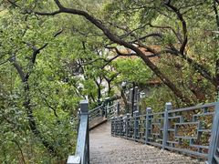 -顺峰山公园