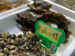 -外伶仃岛海鲜市场