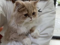 -艾贝尔宠物医院 ·内科全科(梁溪路店)