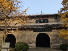 -灵谷景区