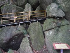 -海南霸王岭国家森林公园