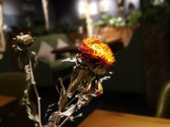 -半悦牛排(龙湖西宸天街店)