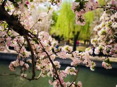 -海棠花溪(元大都城垣遗址公园)