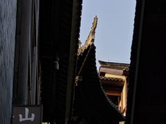 -陈建平麻花(磁器口总店)