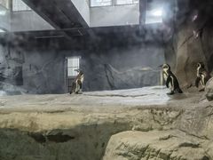 -武汉动物园