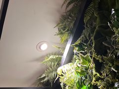 -麦子MaiMassage(打浦桥店)