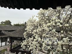 -何园