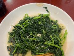 -古道村落(温汤店)