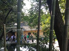 -韶山毛泽东同志故居