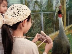 -盐城丹顶鹤湿地生态旅游区