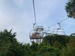 -圣淘沙天际线斜坡滑车