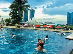 -新加坡文华东方酒店