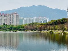 -飞来湖湿地公园