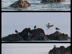 -银沙滩浴场
