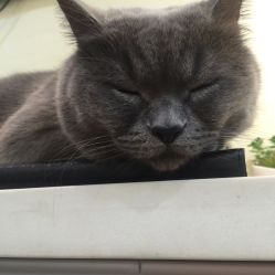 -Easy Lady美甲美睫半永久纹绣工作室