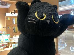 -爪爪喵星球·猫舍(卓悦中心店)