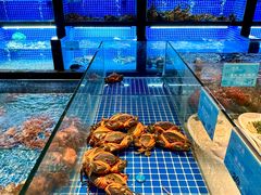 -姚江春中餐厅·太平洋大酒店