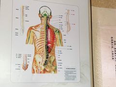-张钰强中医正骨推拿连锁(华发商都店)