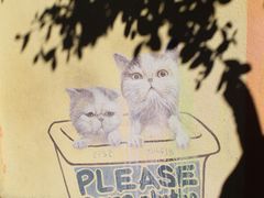 -槟城街头艺术街区