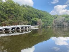 -深圳仙湖植物园