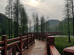 -广州市石门国家森林公园