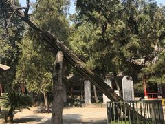 -南阳卧龙岗武侯祠