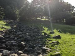 -白塘生态植物园