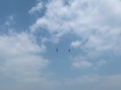 -东疆建设开发纪念公园