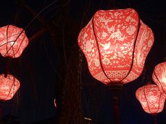 -清明上河园